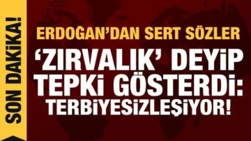 Erdoğan'dan Kılıçdaroğlu'nun SADAT açıklamasına tepki: Terbiyesizleşiyor