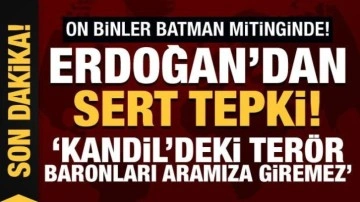 Erdoğan'ı Batman'da on binler karşıladı: Kandil'deki terör baronları aramıza giremez!