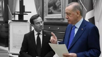 Erdoğan'ın karşısında diz çöktük! İsveç bu sözlerle çalkalanıyor