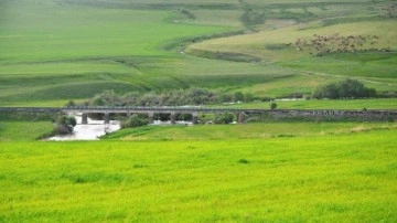 Erzurum mera ve çayır zengini