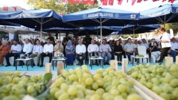 'Esenli Üzüm Şenliği' binlerce kişinin katılımıyla gerçekleşti