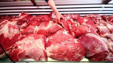 ESK, kasaplara da uygun fiyatlı kırmızı et satacak