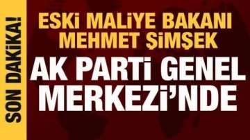 Eski Maliye Bakanı Mehmet Şimşek, AK Parti Genel Merkezi'nde