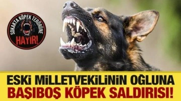 Eski milletvekilinin oğluna başıboş köpek saldırısı!