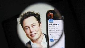 Eski Twitter yöneticisi Dailsey: Elon Musk ne yaptığını bilmiyor