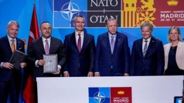 Fin halkı, İsveç olmadan NATO'ya girmeye sıcak bakıyor