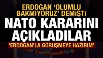 Finlandiya Devlet Başkanı: NATO'ya resmen başvuruyoruz, Erdoğan'la görüşmeye hazırım