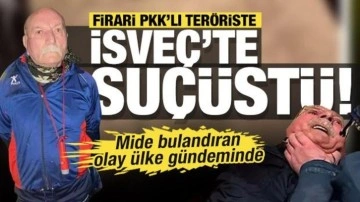 Firari PKK'lı terörist Senanik Öner'e kaçtığı İsveç'te atlara tecavüzden hapis cezası