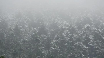 Fotoğraf bugün İstanbul'da çekildi! Aydos Ormanı ve çevresi beyaz örtüyle kaplandı