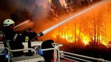 Fransa'da yangın felaketi: 7 bin hektar alan kül oldu