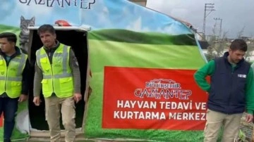 Gaziantep Büyükşehir Belediyesi can dostlarımızı unutmadı!