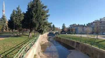 Gaziantep'te acı tablo! Dere kenarında yeni doğmuş bebek cesedi bulundu