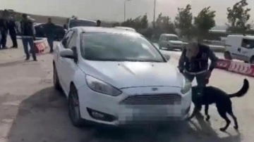 Gaziantep'te otomobilde 78 kilo skunk ele geçirildi