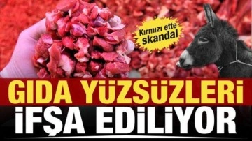 Gıda yüzsüzleri güncellendi! İşte taklit veya tağşiş yapılan gıdalar