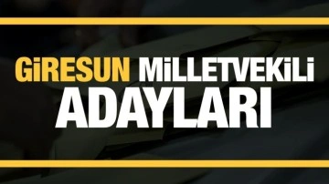 Giresun Milletvekili adaylarını açıkladı! Parti parti tam liste…