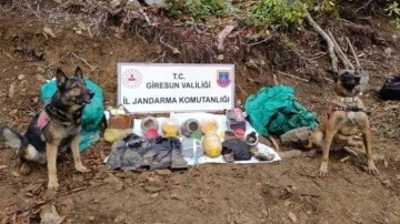 Giresun'da terör örgütünün kullandığı sığınak bulundu