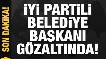 Gökçeada Belediye Başkanı Ünal Çetin gözaltına alındı