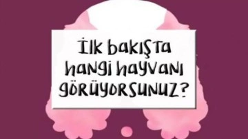 Görsel algı testi: İlk gördüğünüz hayvan kişiliğinizi ele veriyor!