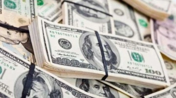 Güne düşüşle başlayan dolar 13,62'den işlem görüyor