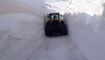 Hakkari'de üs bölgesinin yolu kardan tünel oluşturularak açıldı