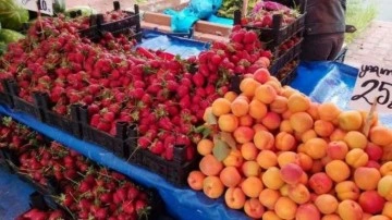 Halk pazarında sebze fiyatları düşüyor