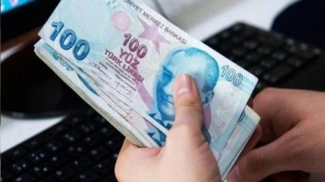 Hane başına 7 bin 200 lira verilecek: Başvurular e-Devlet üzerinden başladı