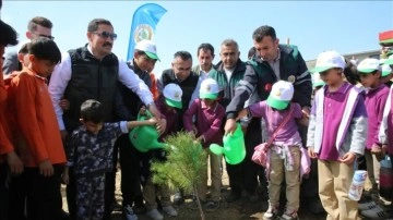 Hatay'da 1000 fıstık çamı fidanı toprakla buluşturuldu