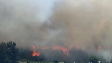 Hatay'da orman yangını! Alevlere müdahale ediliyor