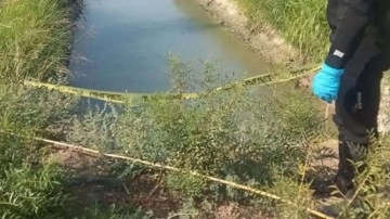 Hatay'da sır ölüm! Sınır hattı bölgesinde sulama kanalında ceset bulundu