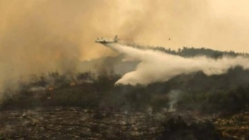 Hatay'daki orman yangınıyla ilgili 2 kişi tutuklandı