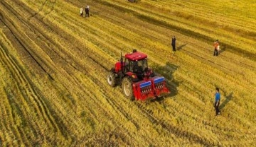 Hazine arazileri tarıma kazandırılıyor