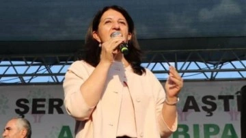 HDP'li Buldan: Seçimlere iki ittifakla giriyoruz