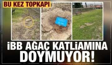 İBB bu kez de Topkapı'da onlarca ağacı kesti