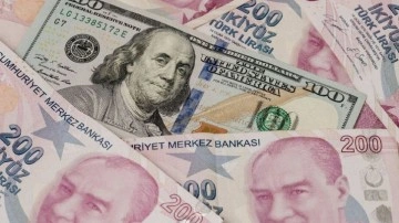 İhracatçılar döviz gelirlerinin yüzde 40'ını Merkez Bankasına satacak