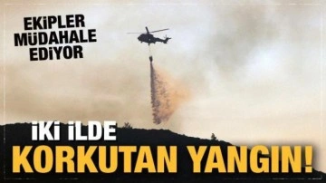 İki ilde orman yangını! Kütahya'da kontrol altına alındı