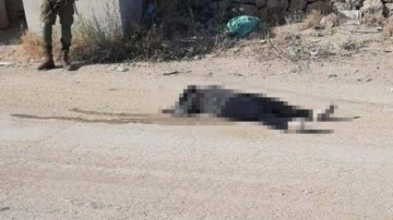 İsrail güçleri, Filistinli kadını sokak ortasında katletti