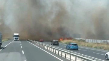 İstanbul-Tekirdağ yolunda yangın! Sürücüler zor anlar yaşadı