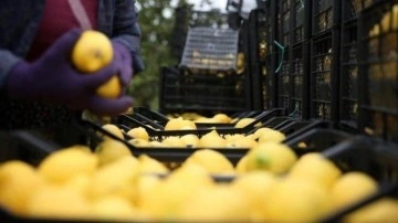 İstanbul'un zam şampiyonu belli oldu