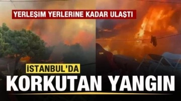 İstanbul'da korkutan yangın! Yerleşim yerlerine kadar ulaştı