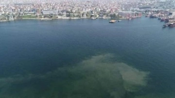 İstanbul'da müsilaj yeniden görülmeye başlandı