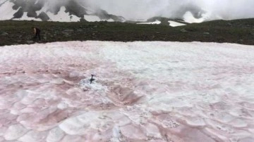 İşte nedeni: Karın rengi kırmızıya döndü, bilim insanları harekete geçti