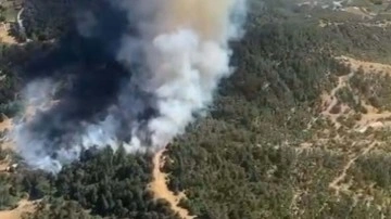 İzmir'de orman yangını, ekipler müdahale ediyor!