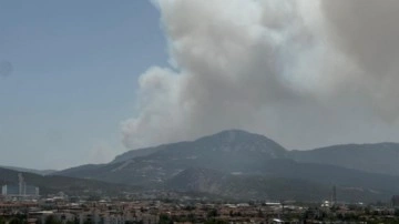 İzmir'de orman yangını! Havadan ve karadan müdahale ediliyor