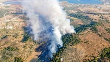 İzmir Dikili'deki orman yangını kontrol altına alındı