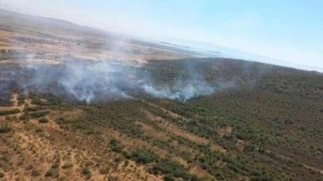 İzmir'de makilikte çıkan yangın ormana da sıçradı