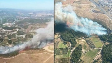 İzmir'deki orman yangını kontrol altına alındı