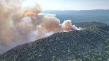İznik'te orman yangını çıktı Ekiplerin yangına müdahalesi sürüyor.