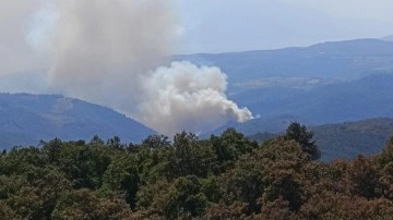 İznik'te orman yangını!