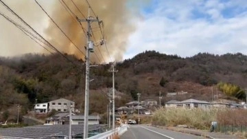 Japonya’da  orman yangını...Bölgedeki bakımevi tahliye edildi!