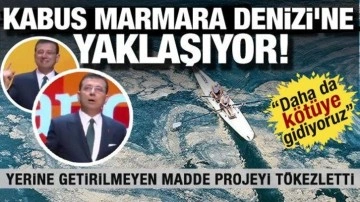 Kabus Marmara Denizi'ne yaklaşıyor! Büyük sorunu tek maddede tökezletti